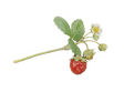 return